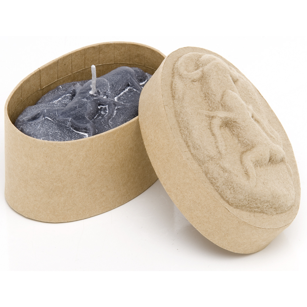 lst-kerze-in-box-froesche