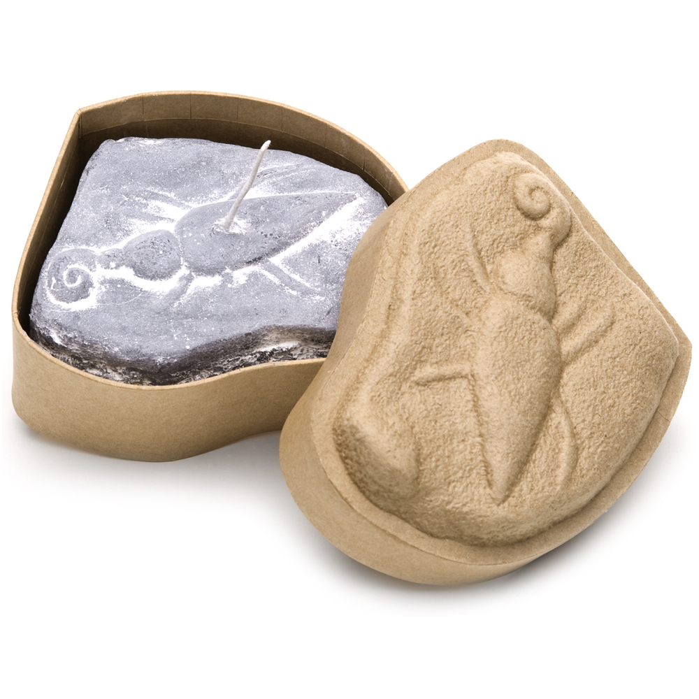 lst-kerze-in-box-ohrwurmkaefer