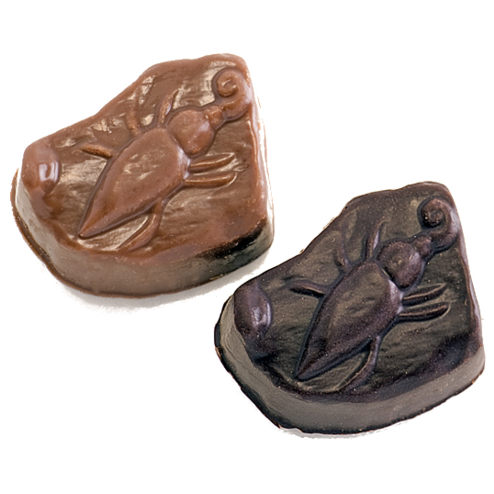 lst-pralinen-ohrwurmkaefer-hell-und-dunkel