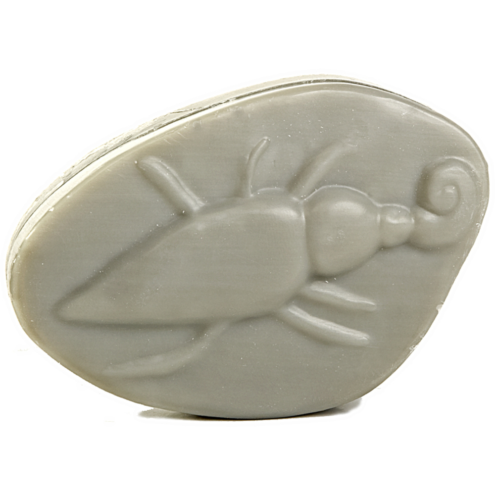 lst-seife-ohrwurmkaefer